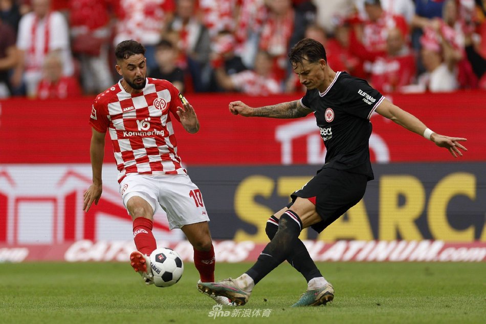 防守的双支 防守的双支