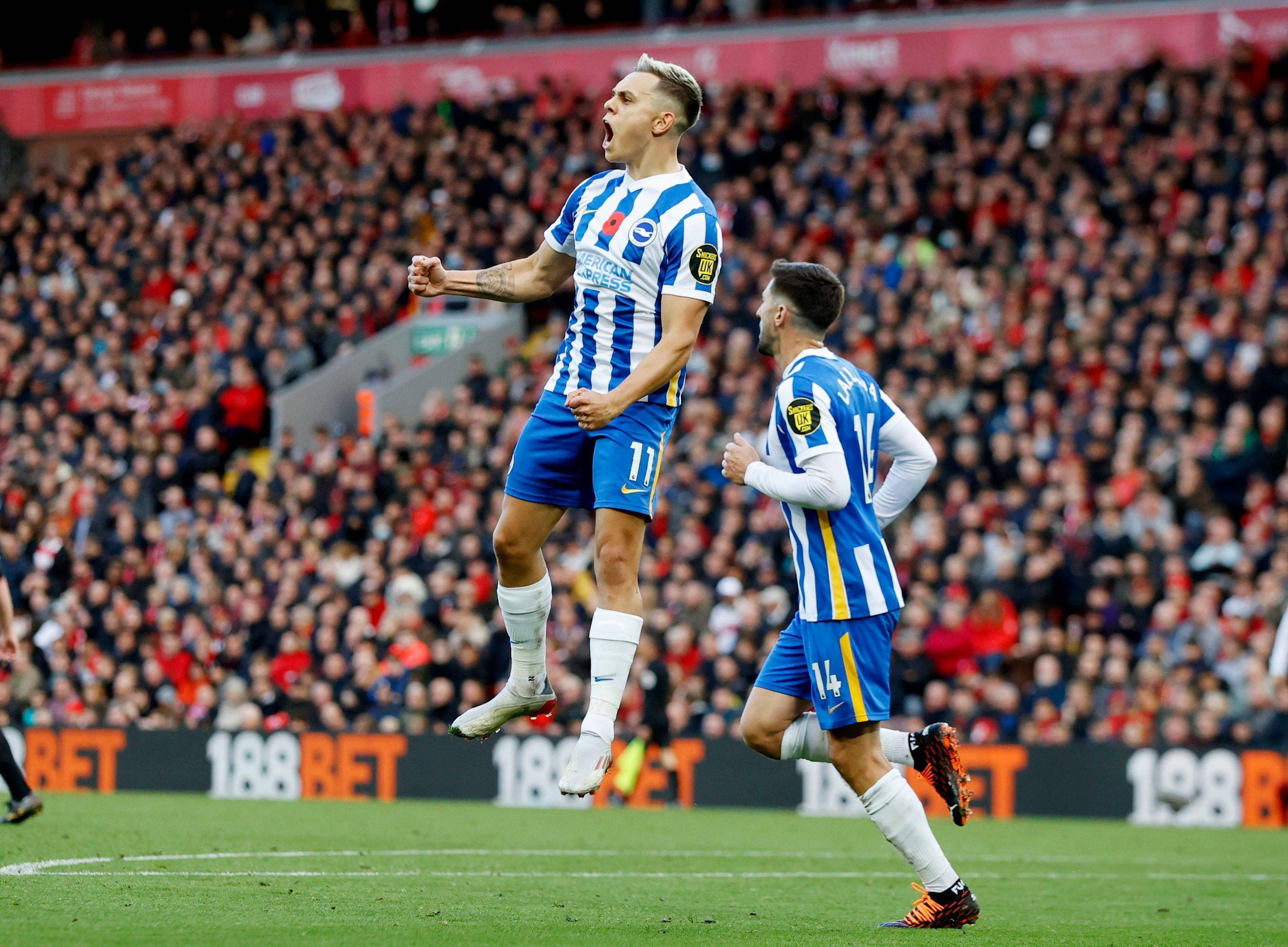 仅刷新了他 仅刷新了他